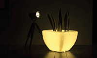 LED Quad - XL