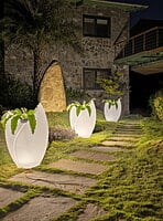 LED Tulip