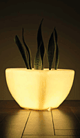 LED Quad - L