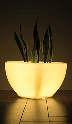 LED Quad - L