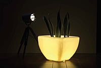 LED Quad - M